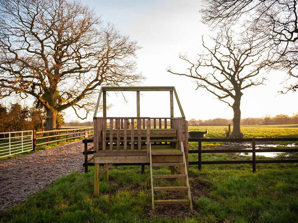 Owners Viewing Stand