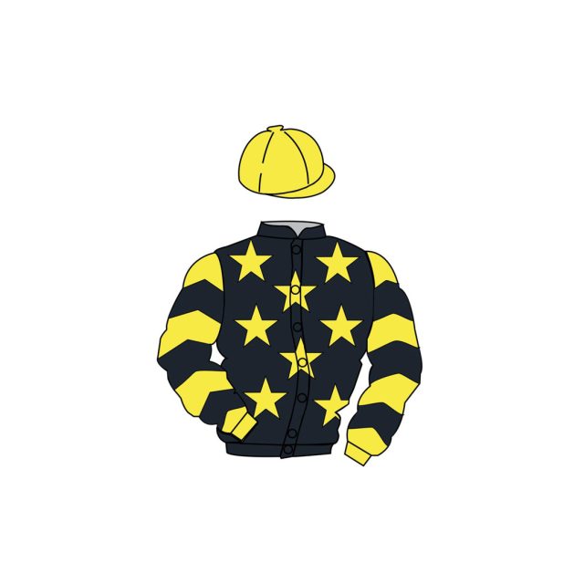 Thesoldiersminit colours